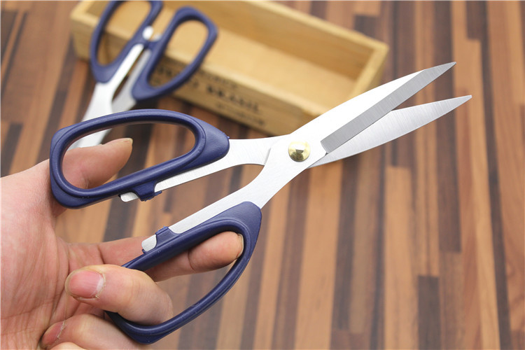 1713949980394129.jpg 10507473660_625898672.jpg